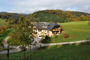 Gasthaus - Gästehaus Schusterbauer, Rein, Österreich